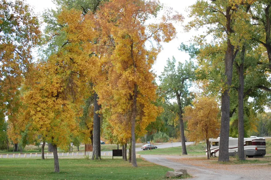 Laurel MT — electrical contractors serving Yellowstone County